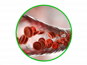 varicocele-natural-treatment-Stretching